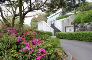 考古館のツツジ（その１）