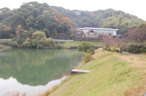 考古館の前のため池