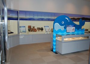 特別展示室内の展示状況